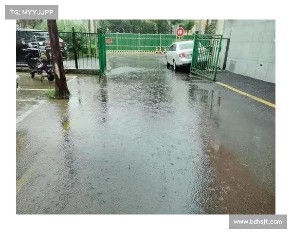 湖北再遭强雷暴大风!风力和大暴雨来袭,致灾风险显著增加 湖北再遭强雷暴大风!风力和大暴雨来袭,致灾风险显著增加